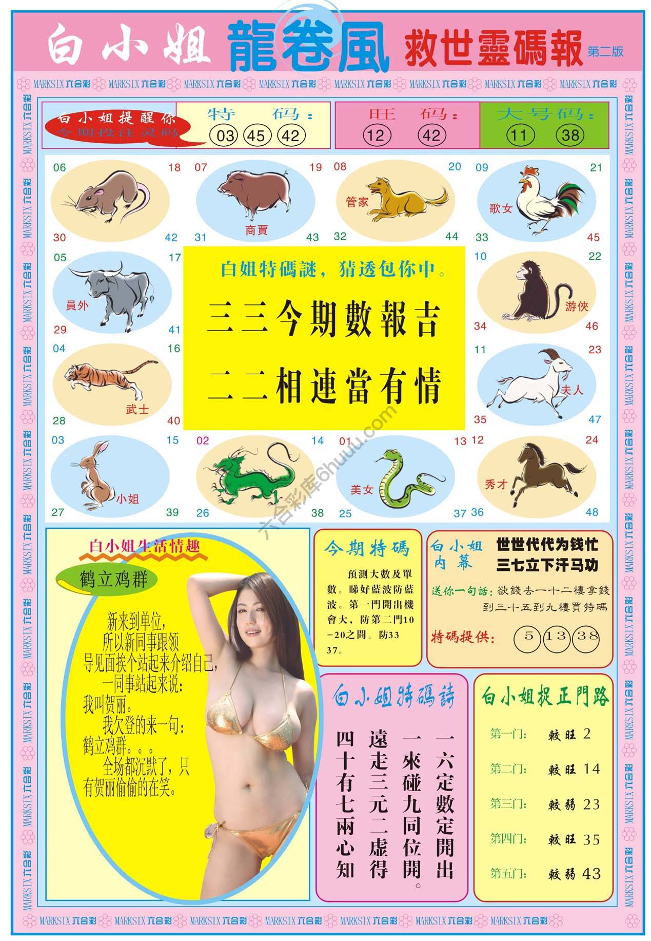 白小姐救世灵码报