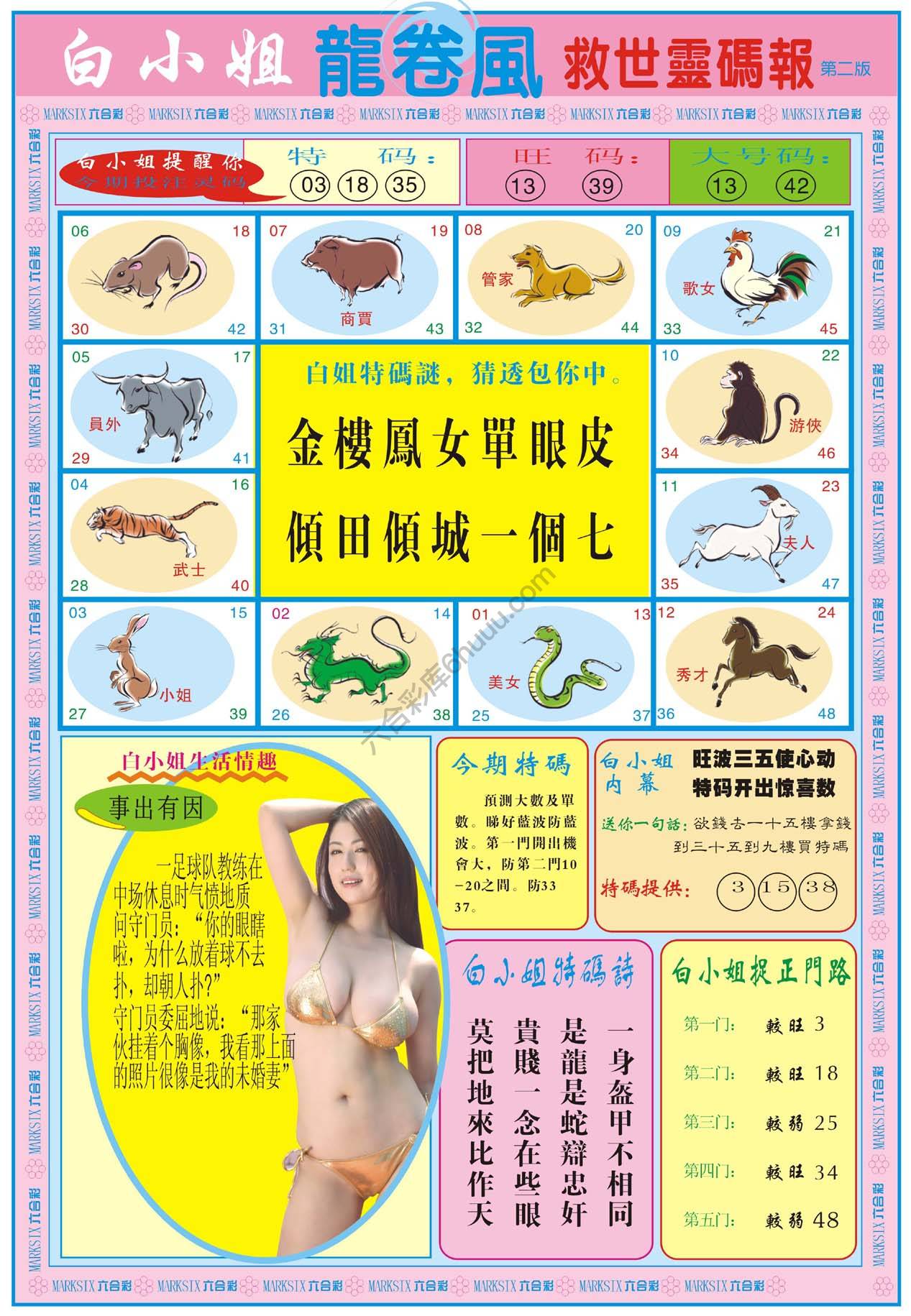 白小姐救世灵码报
