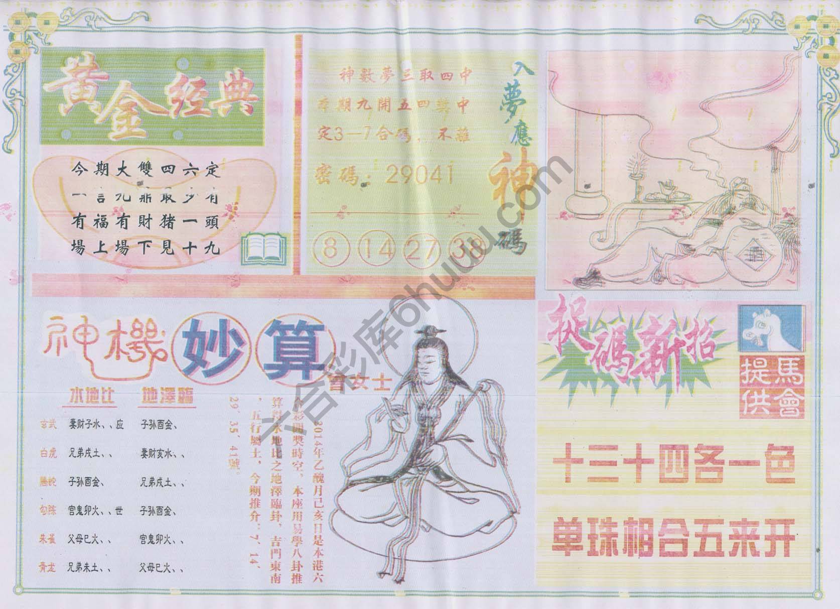 老版曾女士