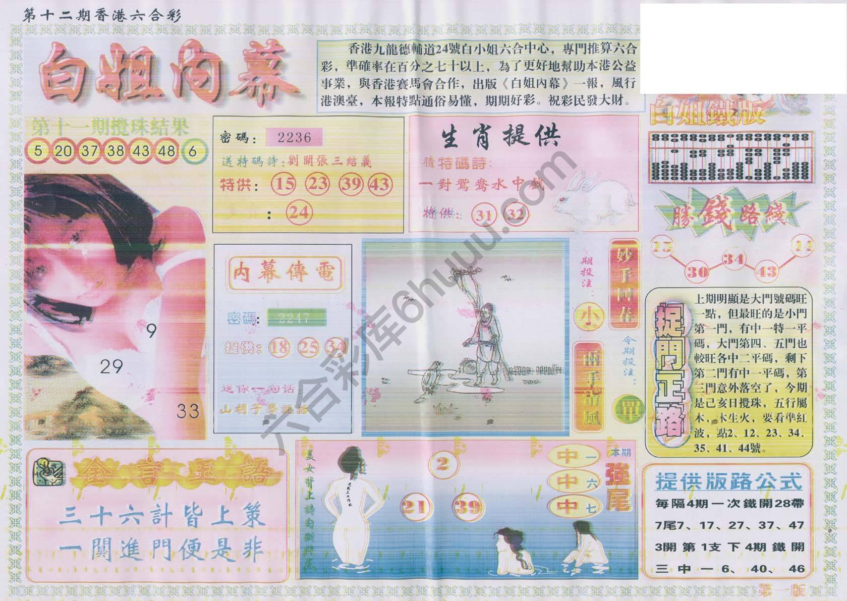 白姐内幕