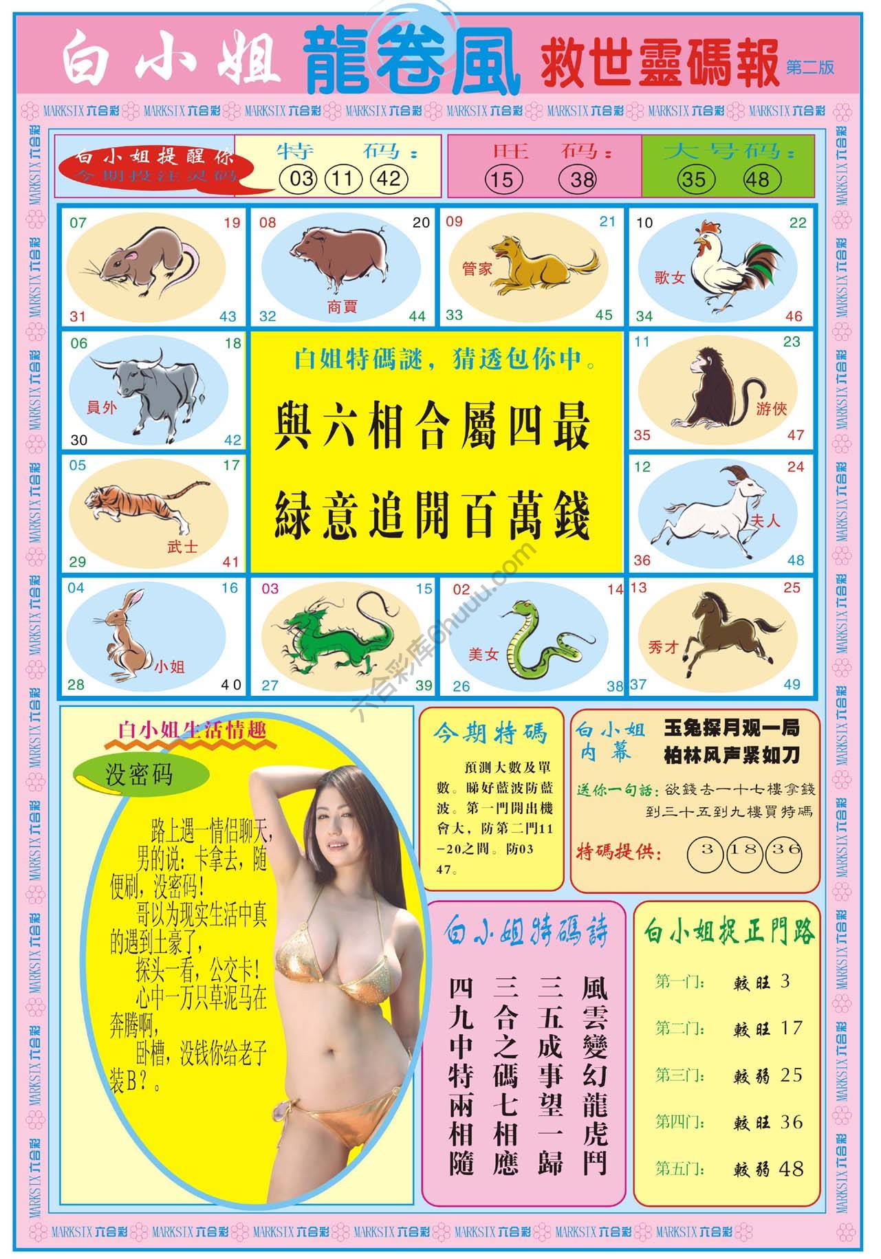 白小姐救世灵码报