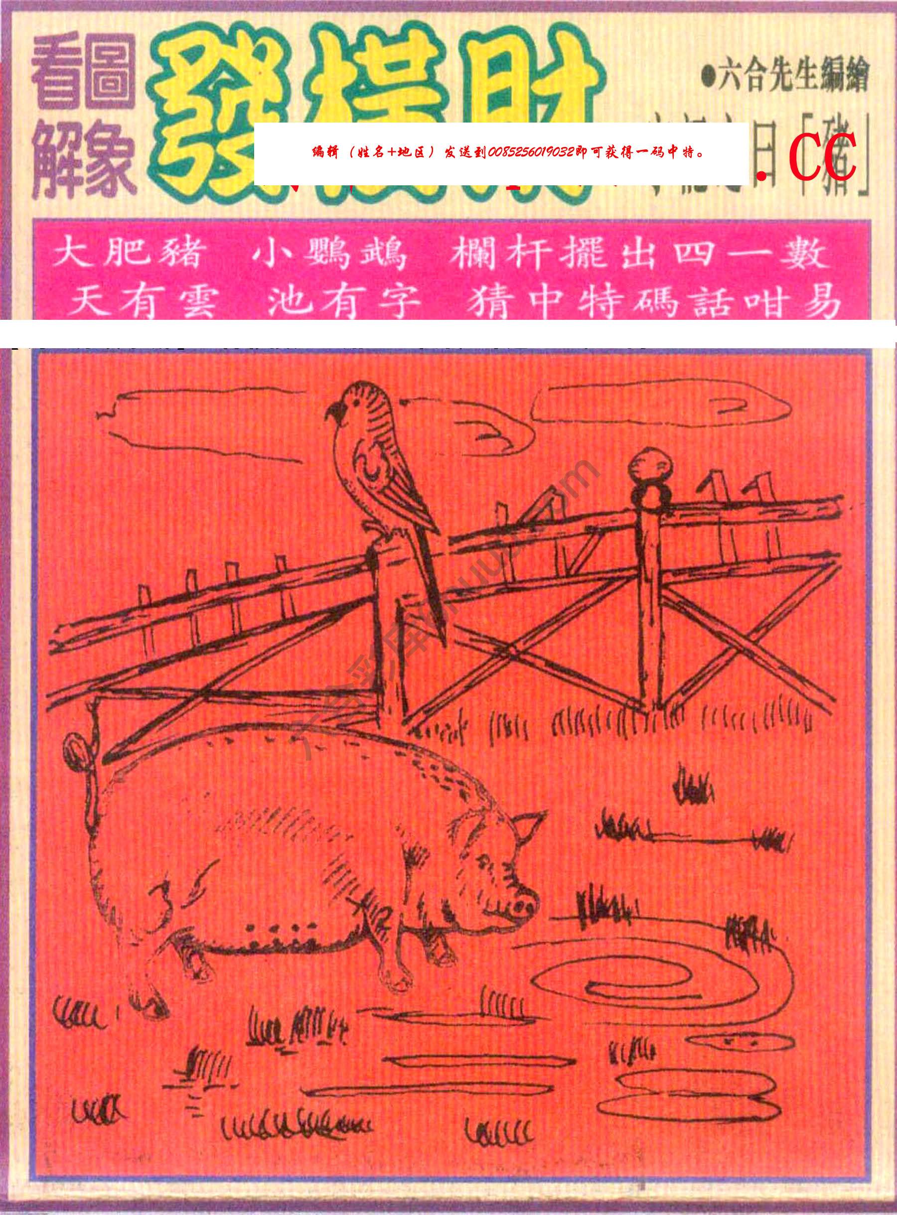 大财经