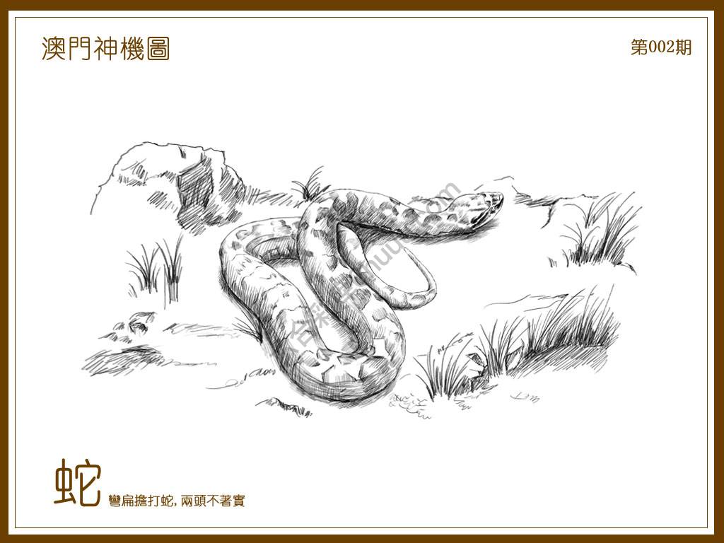 澳门神机图