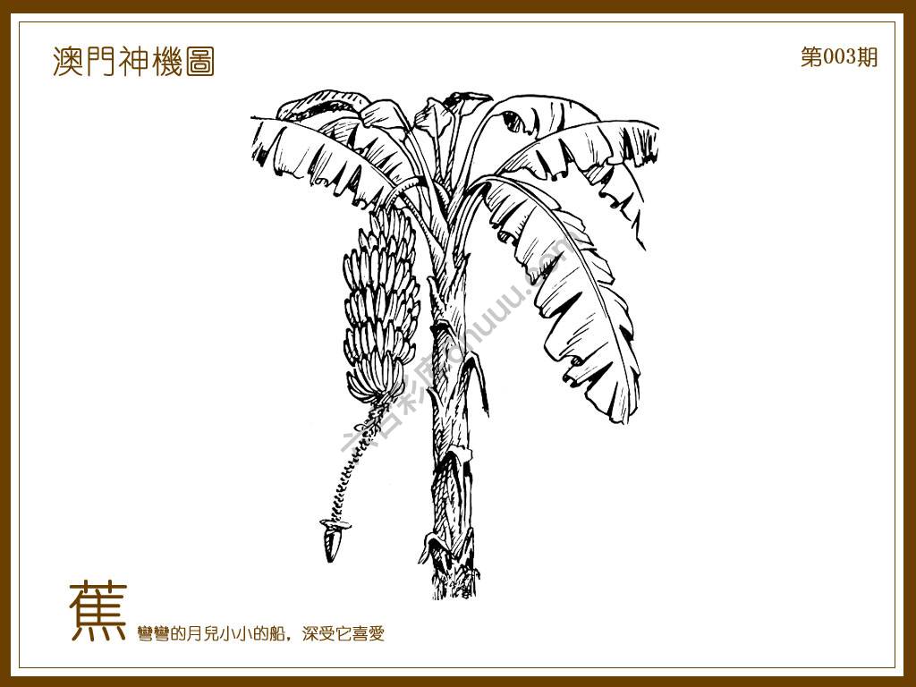 澳门神机图