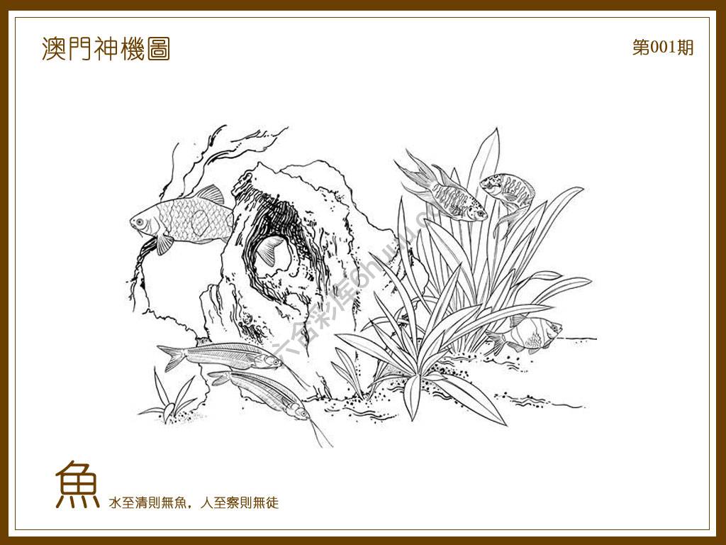 澳门神机图