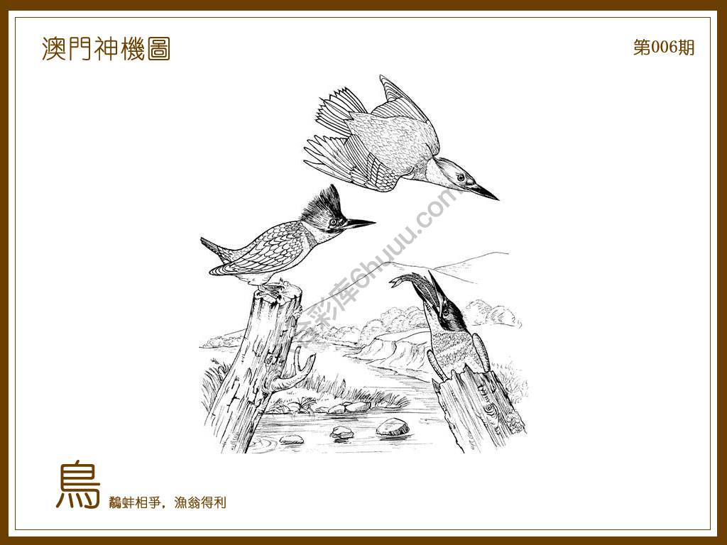 澳门神机图