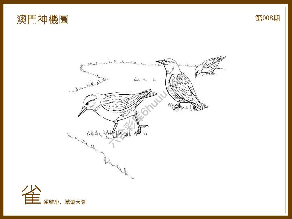 澳门神机图
