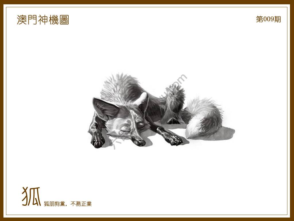 澳门神机图