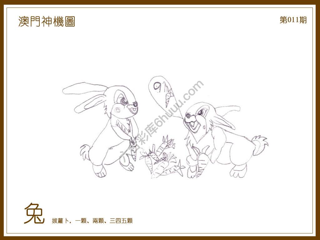 澳门神机图