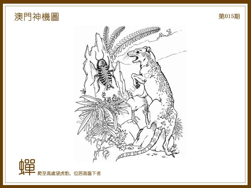 澳门神机图