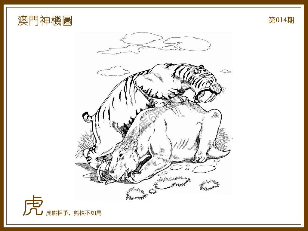 澳门神机图