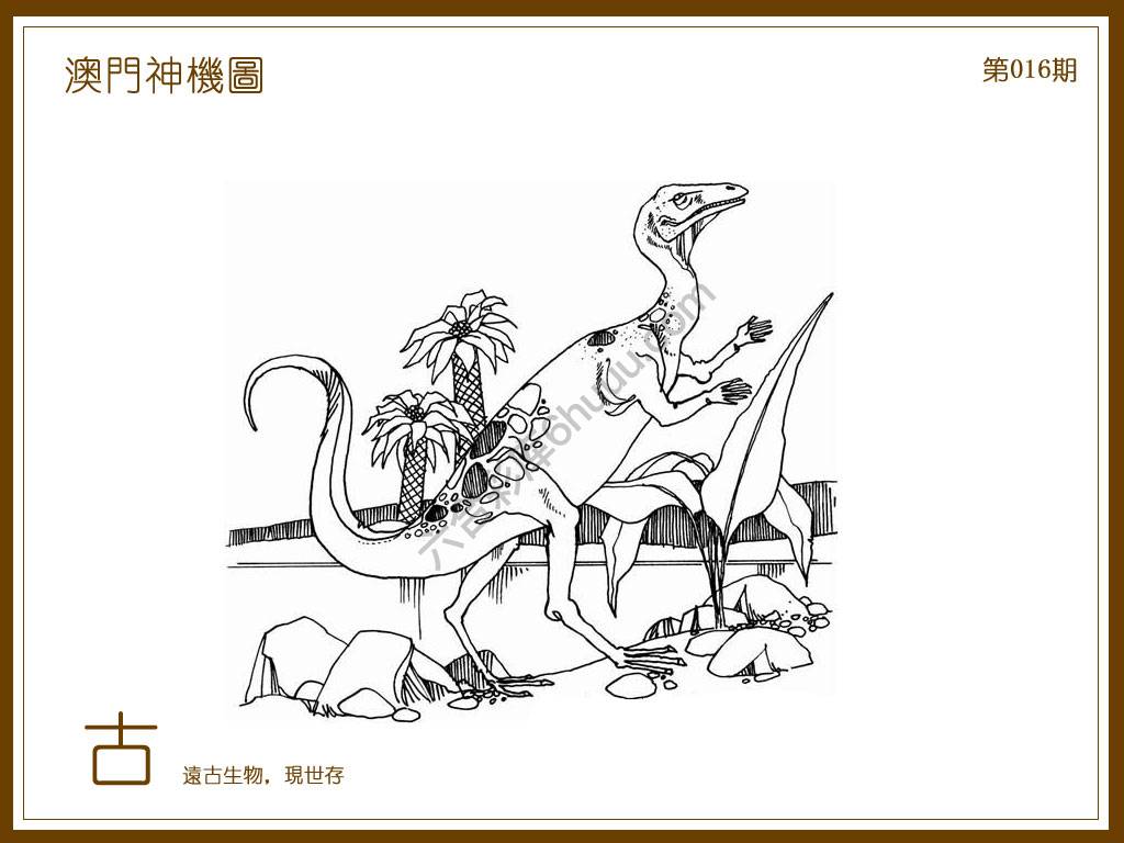澳门神机图
