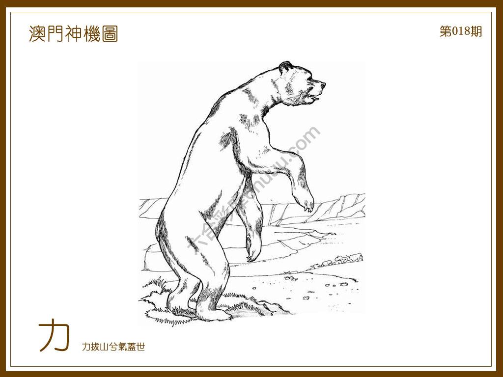 澳门神机图