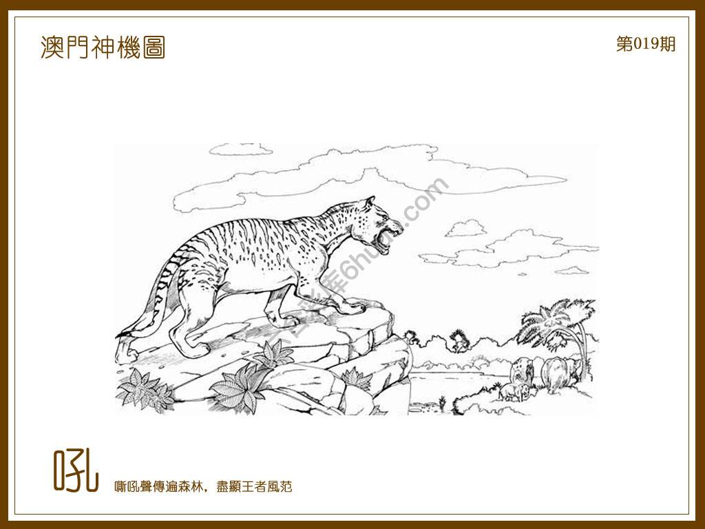 澳门神机图