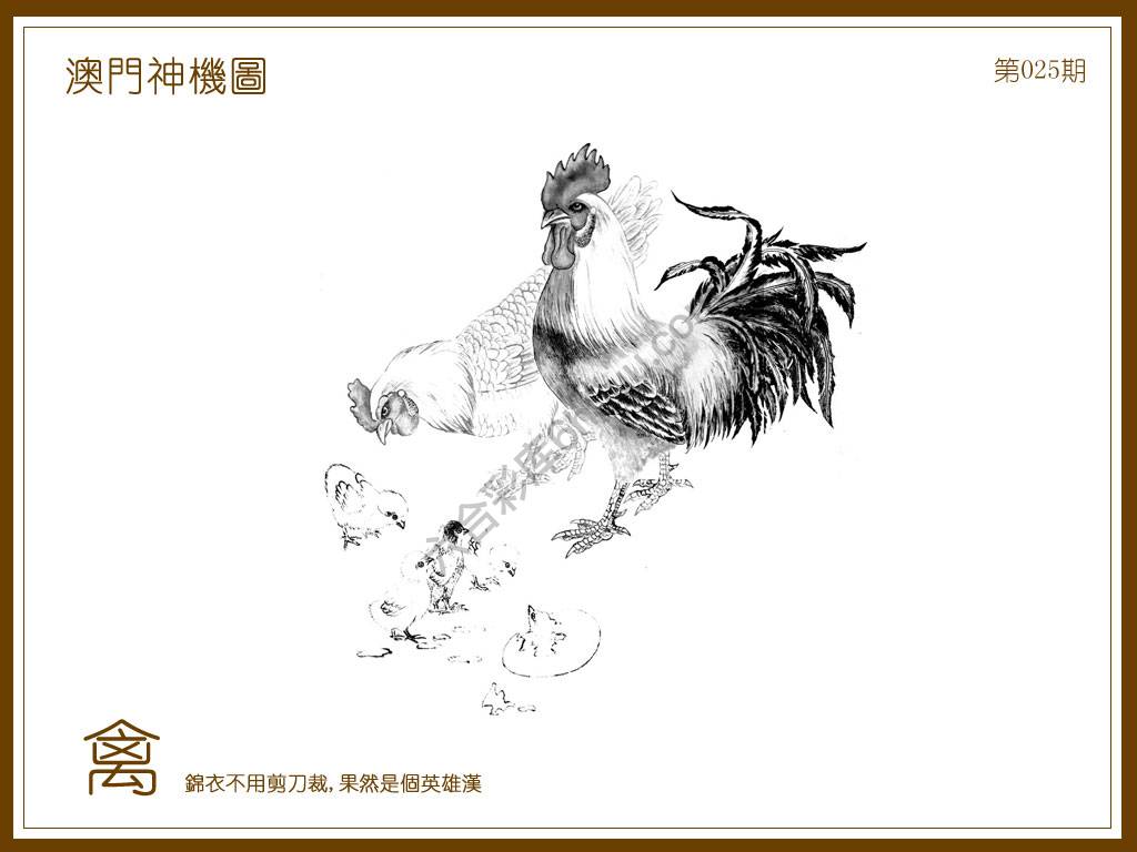 澳门神机图