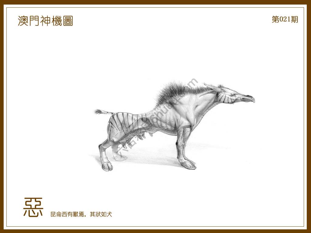 澳门神机图