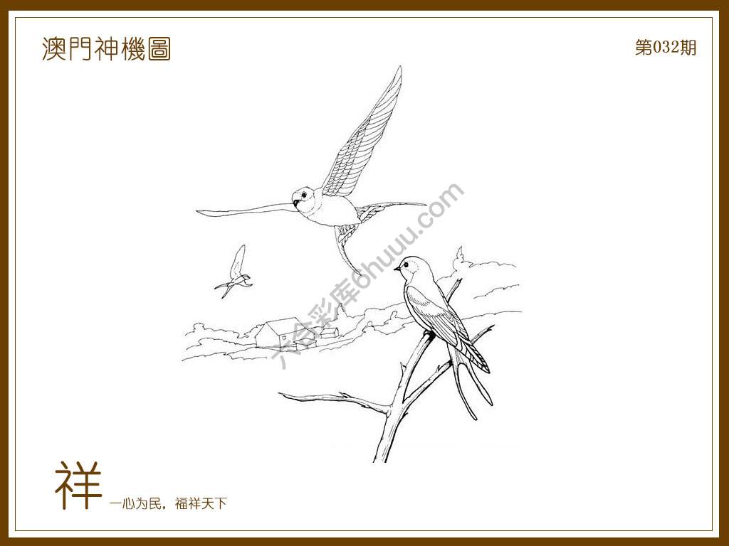 澳门神机图