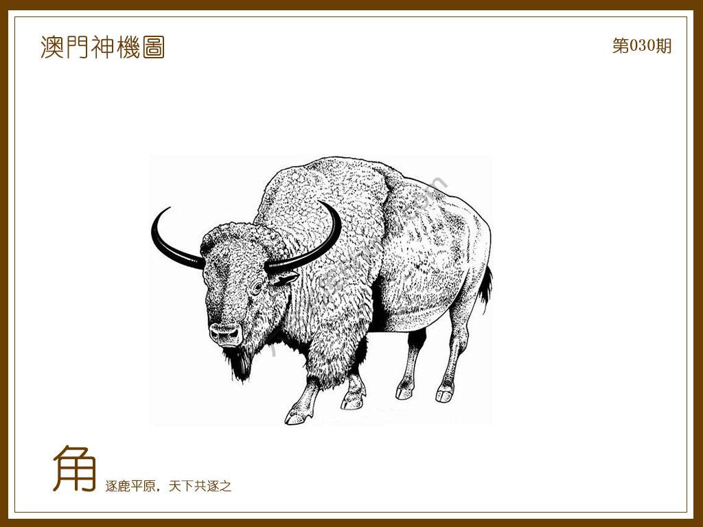 澳门神机图