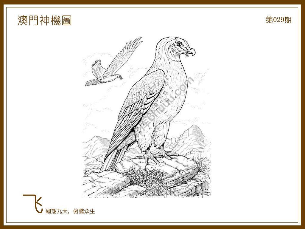 澳门神机图