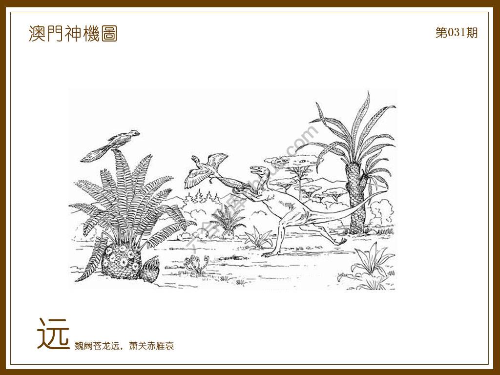 澳门神机图