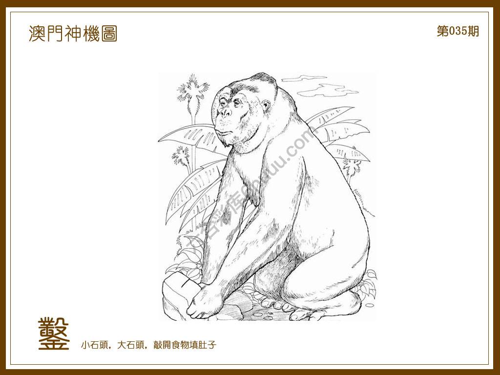 澳门神机图