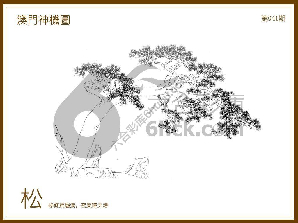 澳门神机图