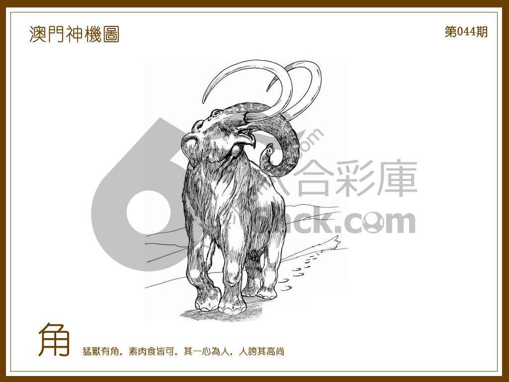 澳门神机图