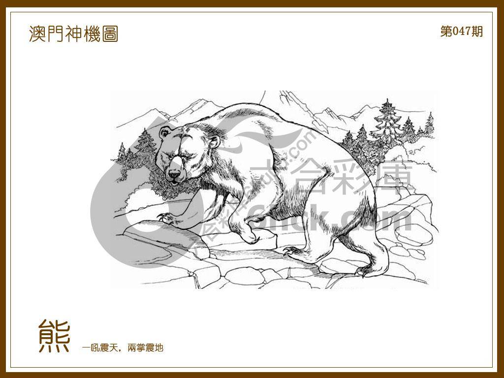 澳门神机图