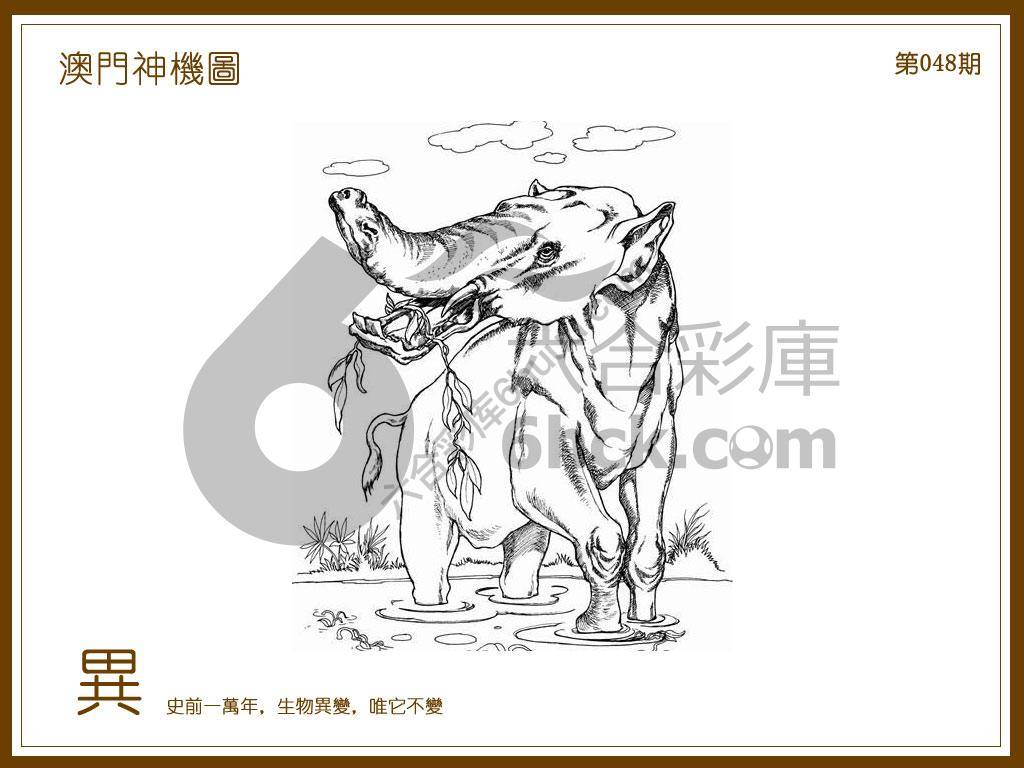 澳门神机图