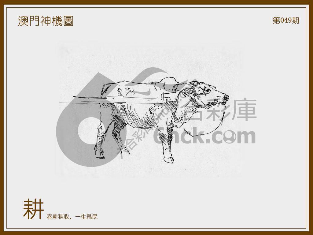 澳门神机图