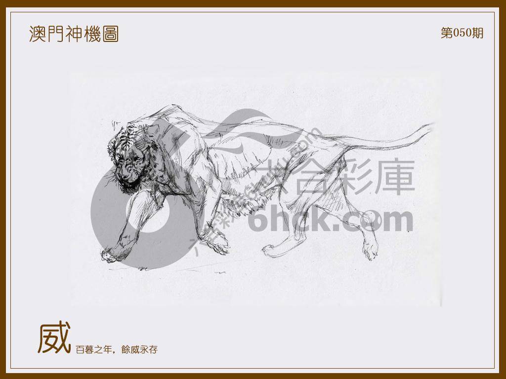 澳门神机图