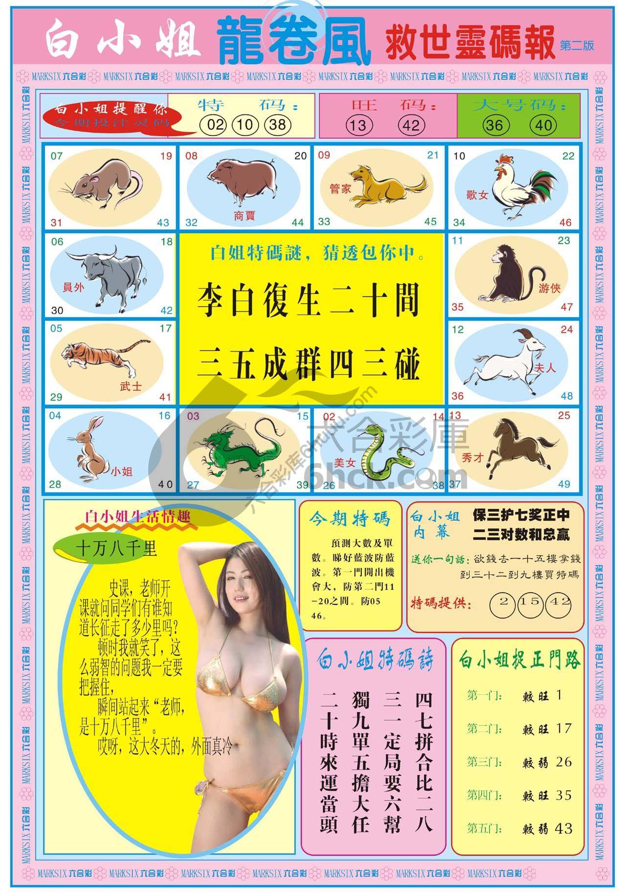 白小姐救世灵码报