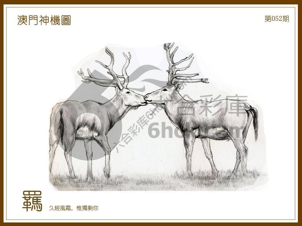 澳门神机图