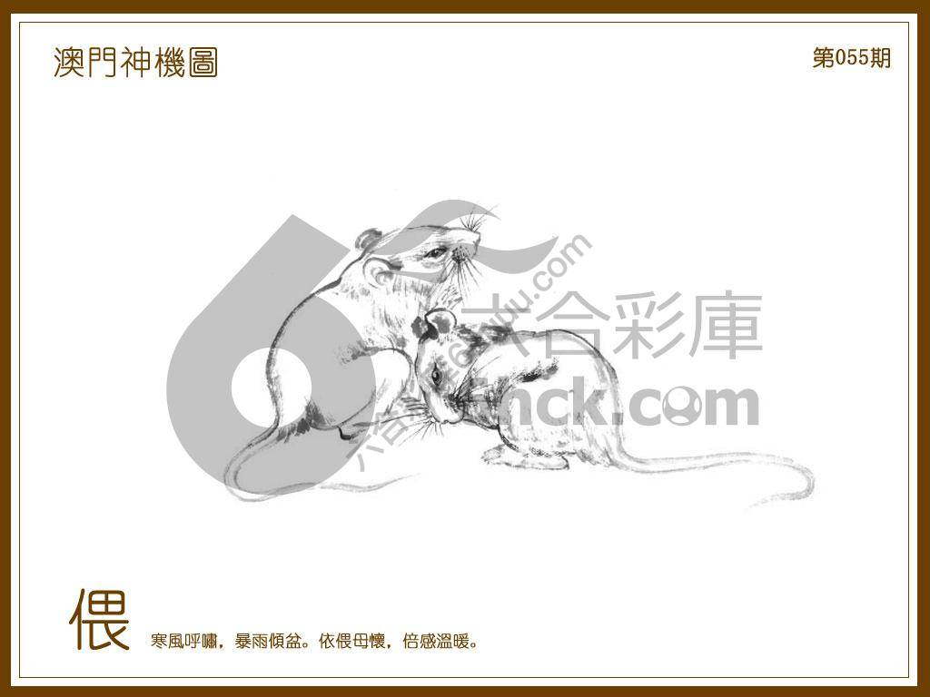澳门神机图