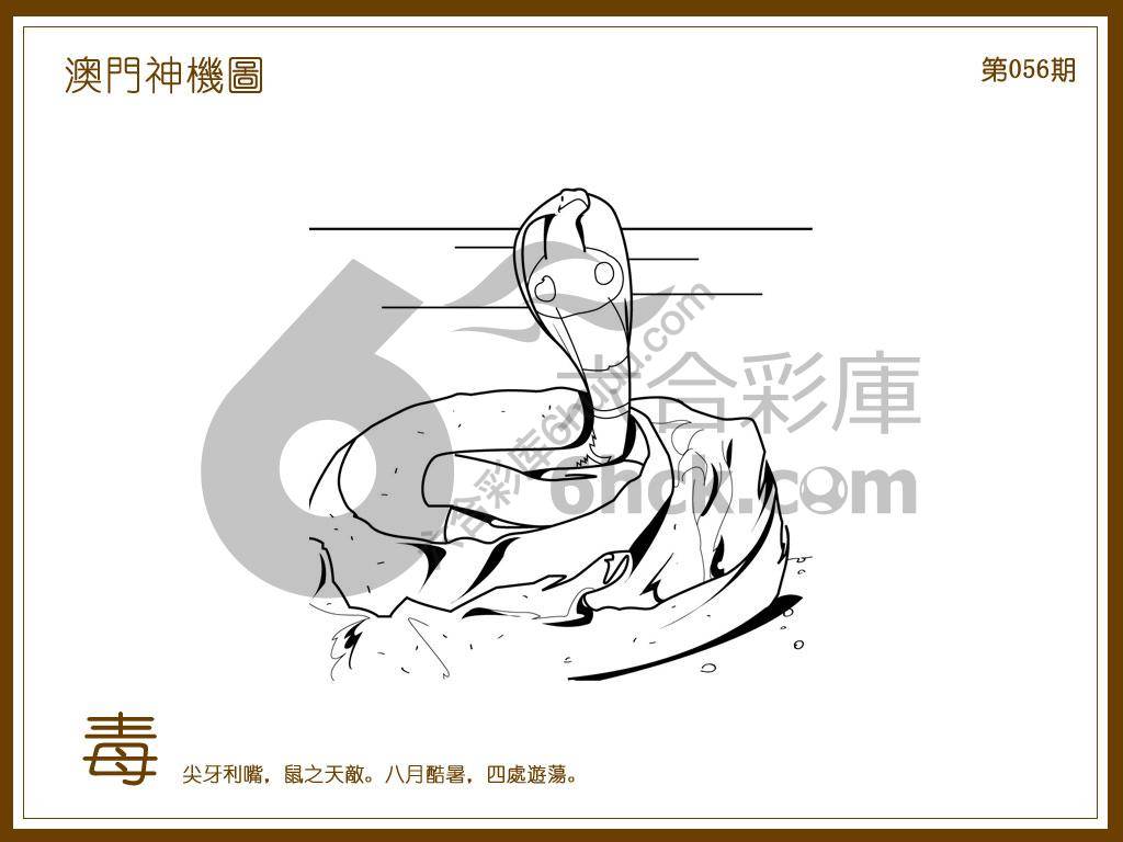 澳门神机图