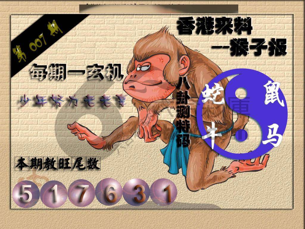 猴子报