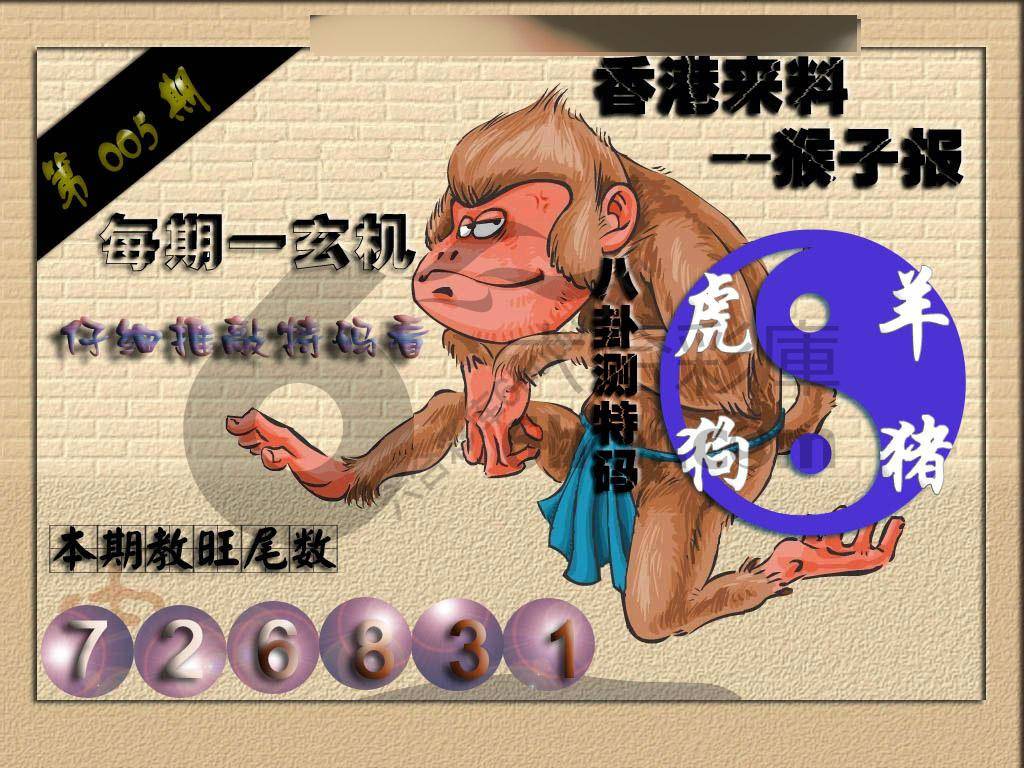 猴子报