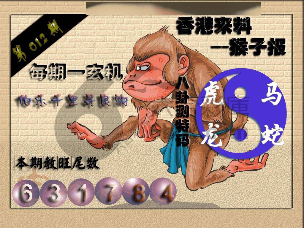 猴子报