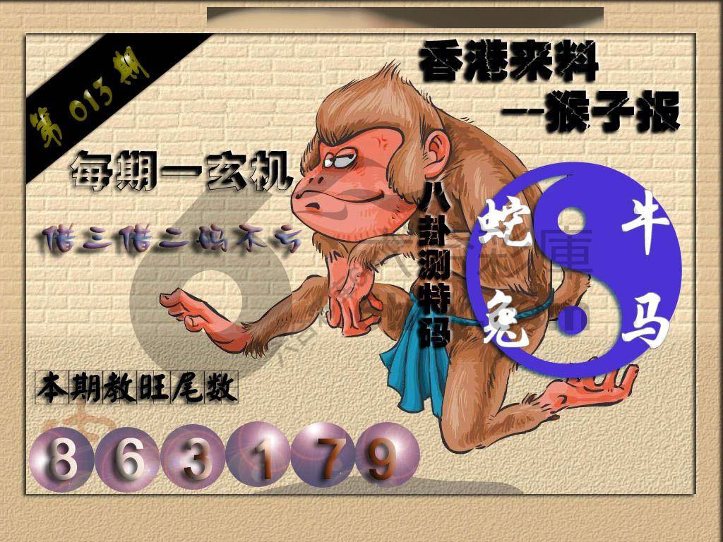 猴子报
