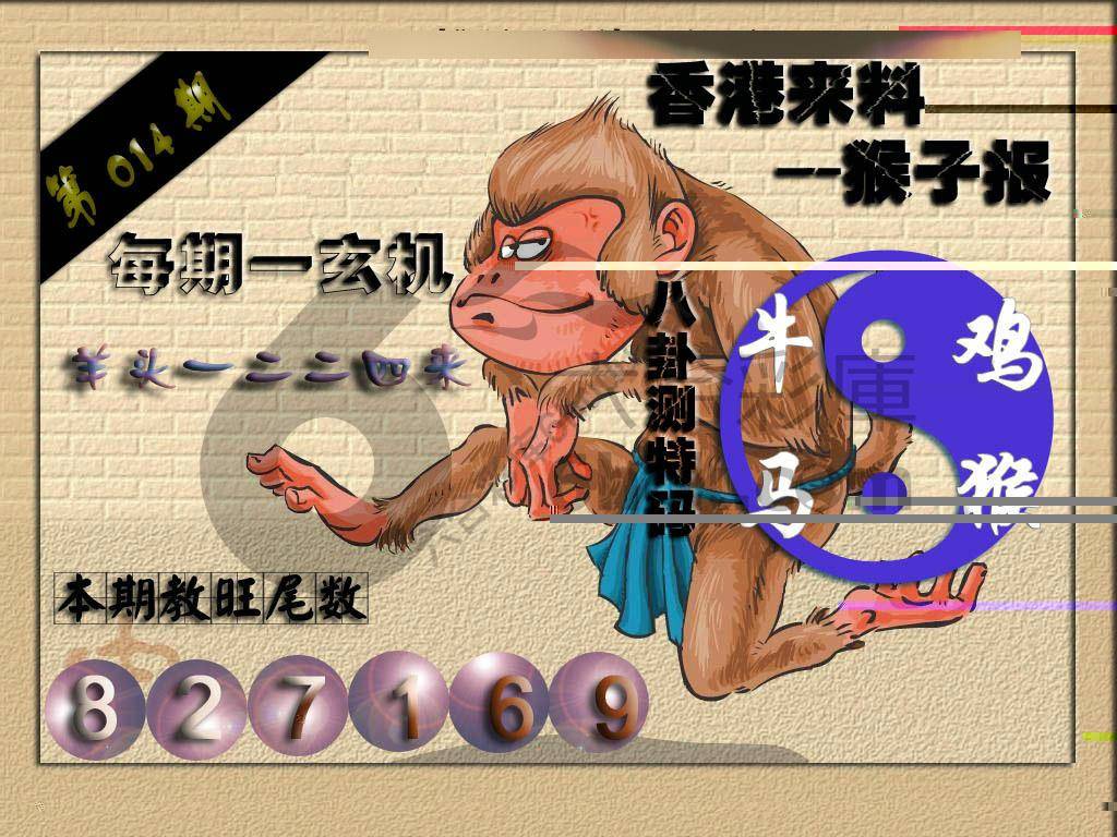 猴子报