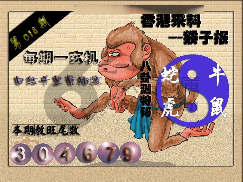 猴子报
