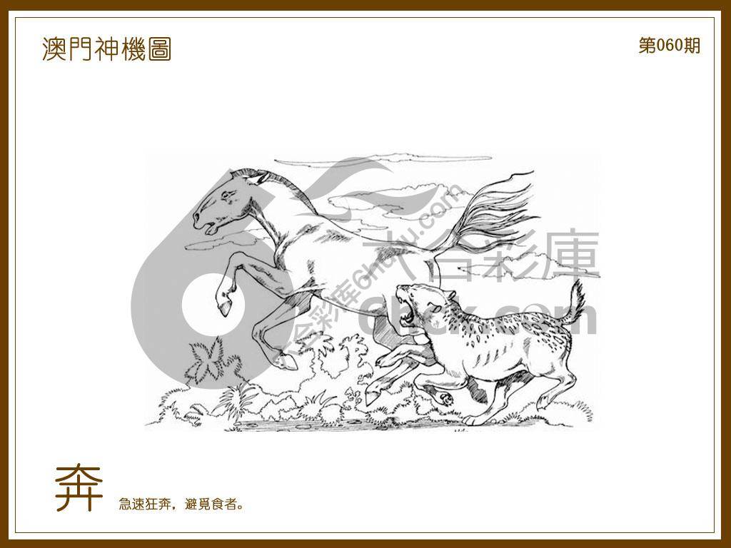 澳门神机图