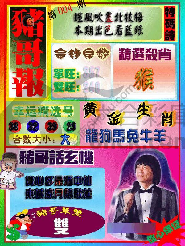 猪哥报