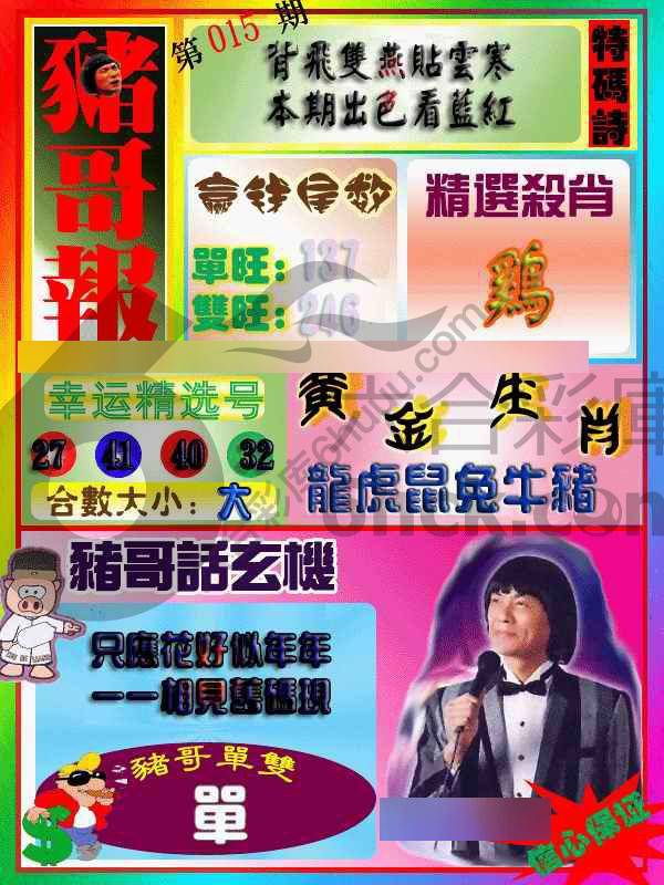 猪哥报