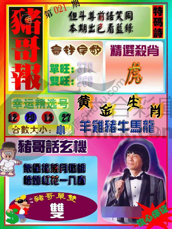 猪哥报