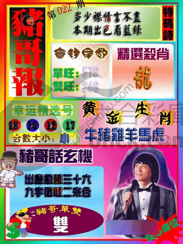 猪哥报