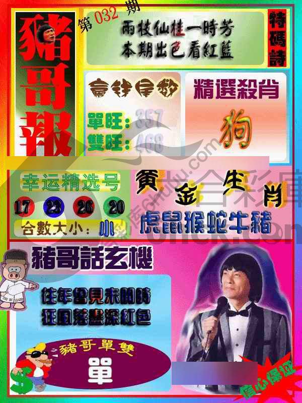 猪哥报