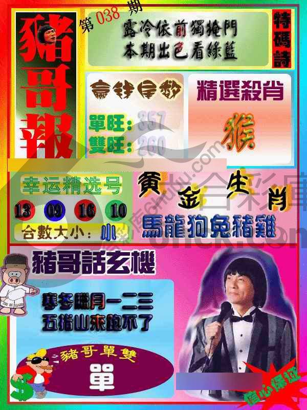 猪哥报