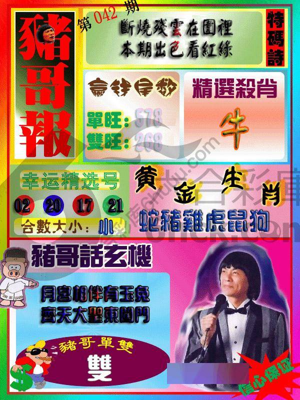 猪哥报