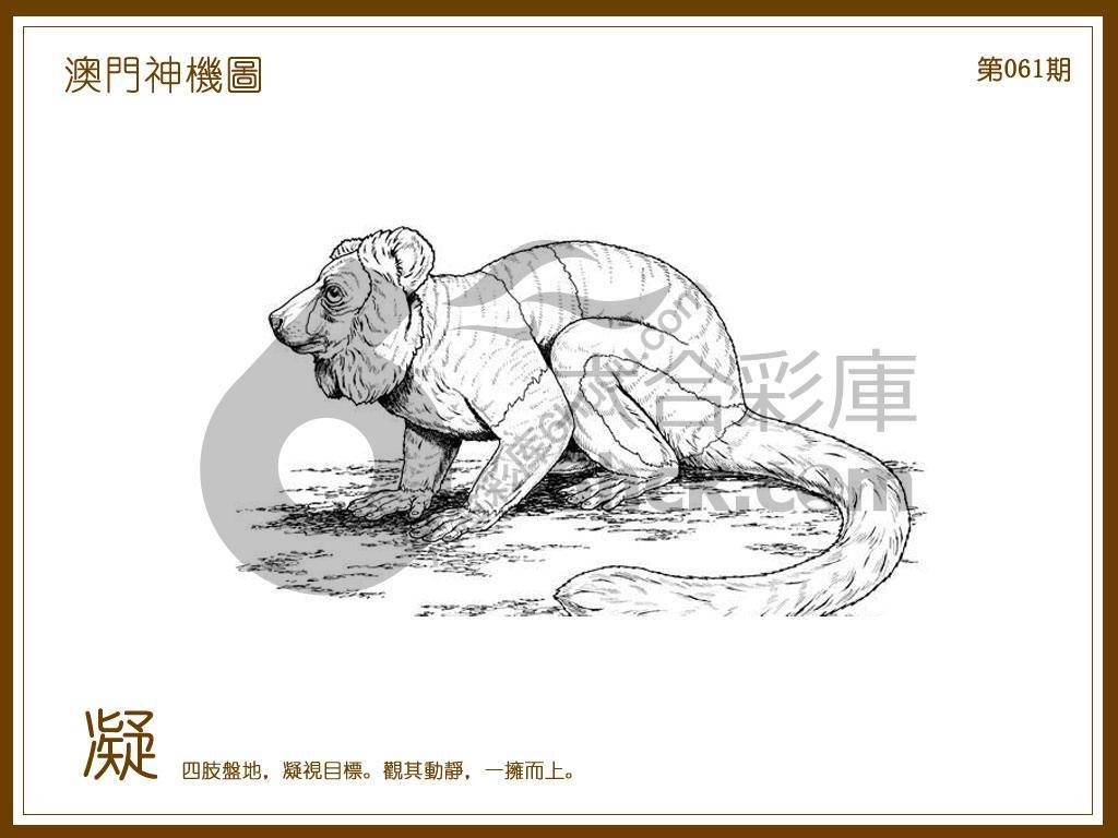澳门神机图